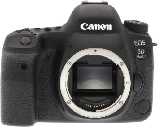 Canon EOS 6D Mark II avec 50 mm f/1.8 STM Prime + Tamron 70-300 mm f/4-5.6 Di LD + téléobjectif 500 mm – Image 4